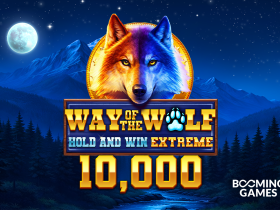 booming-games-launches-way-of-the-wolf:-hold-and-win-extreme-10,000-slot