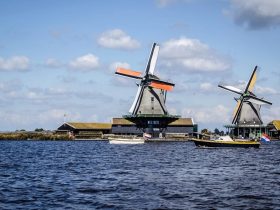 dutch-gambling-trade-association-sues-meta-over-illegal-gambling-ads