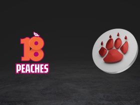qtech-games-adds-18peaches-slots-to-its-emerging-markets-aggregation-platform