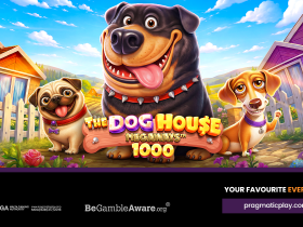 pragmatic-play-launches-the-dog-house-megaways-1000-with-1,000x-wild-multipliers